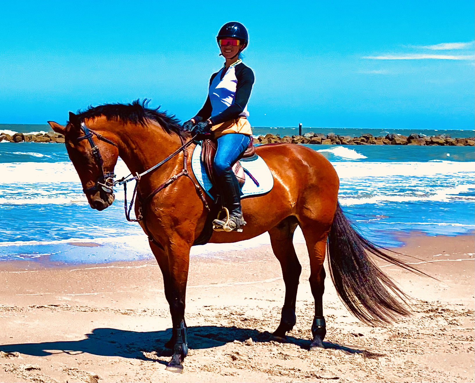 Horse photo