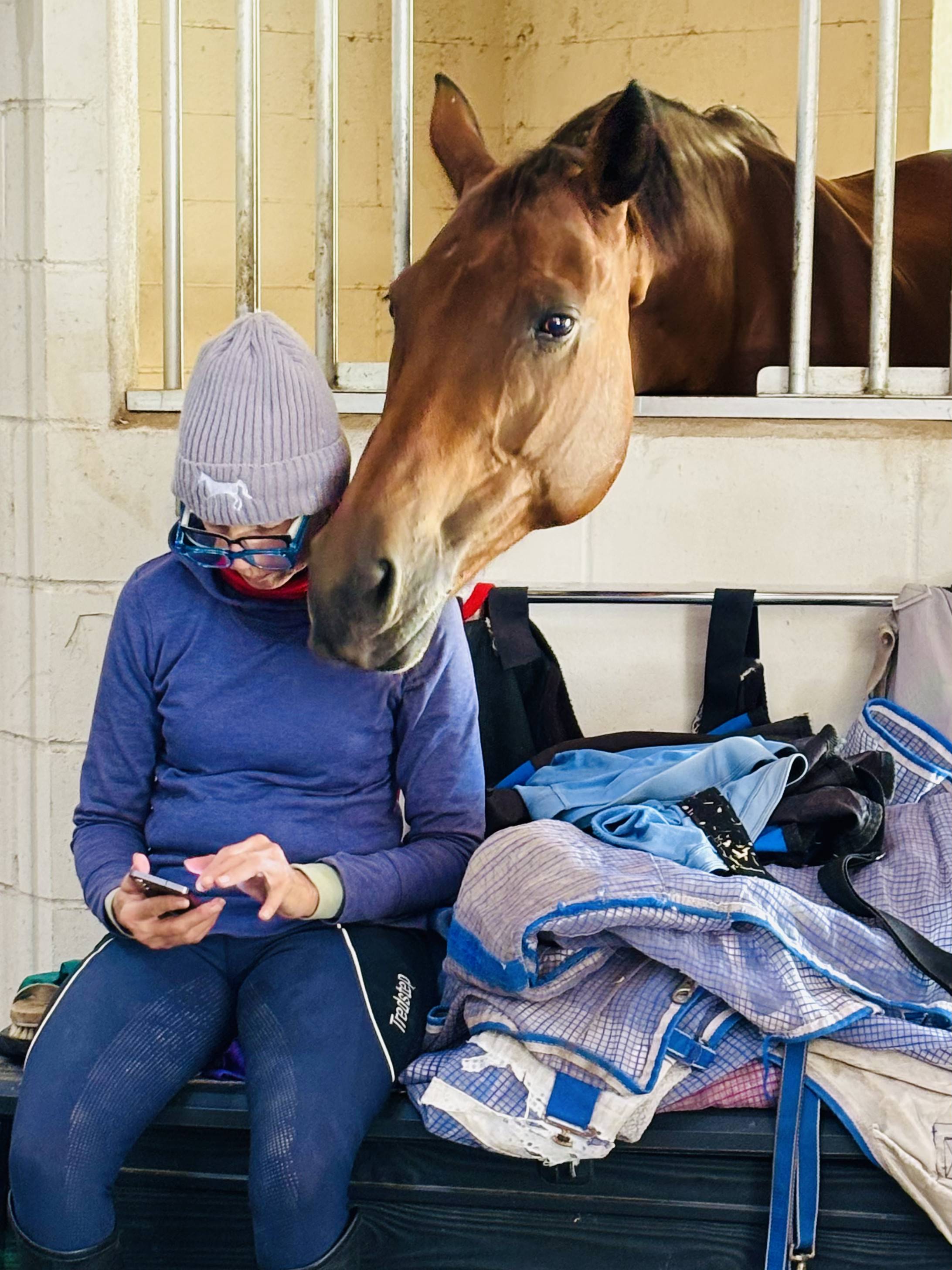 Horse photo
